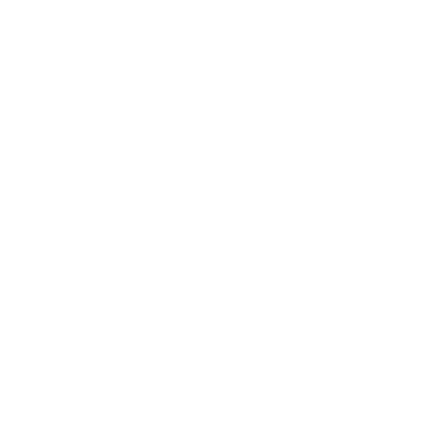 Aria Seg Website